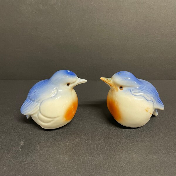 Bird Salt and Pepper Shakers Etsy