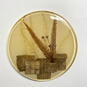 May include: A round, clear resin coaster with a pressed fern design and a brown, woven basket design. The coaster has a light beige background.