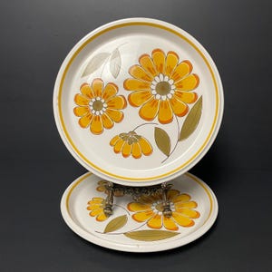 Vintage Mikasa Dinner plates set of 2 in the Light ‘N Lively Happy Pattern Ceramic pair numbered D5352 10.75" orange floral design 1970s