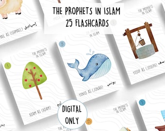 The Prophets in Islam Flashcards | Digital | Islamic Kids Cards