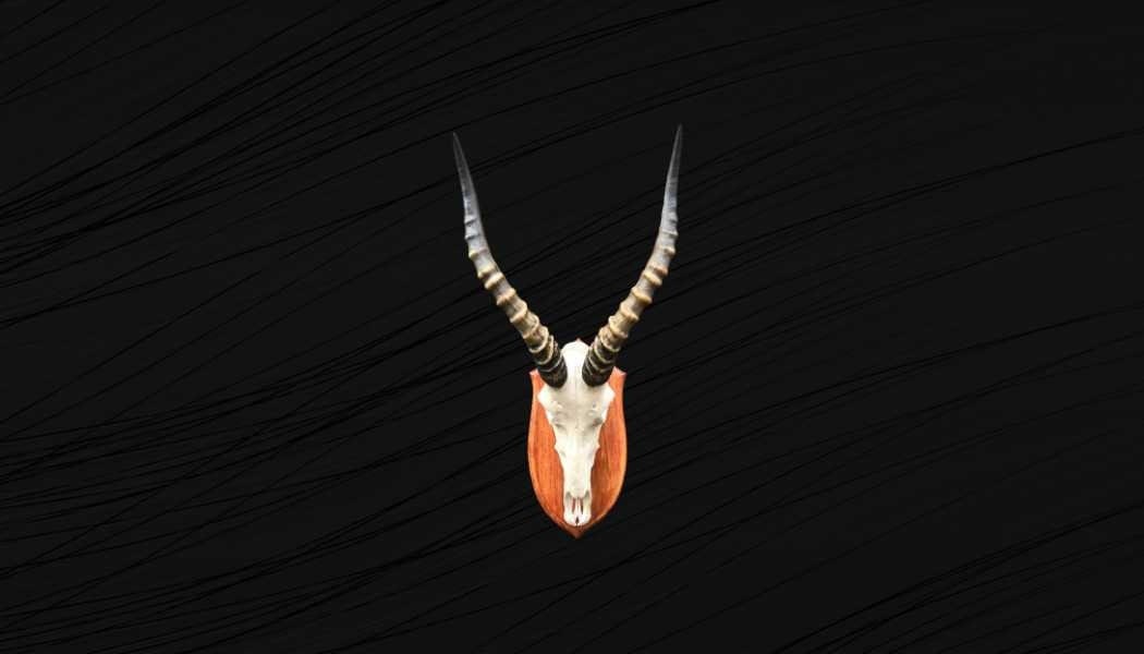 Crâne de Damalisque sur Écusson, Crâne Antilope, Gazelle, Afrique.