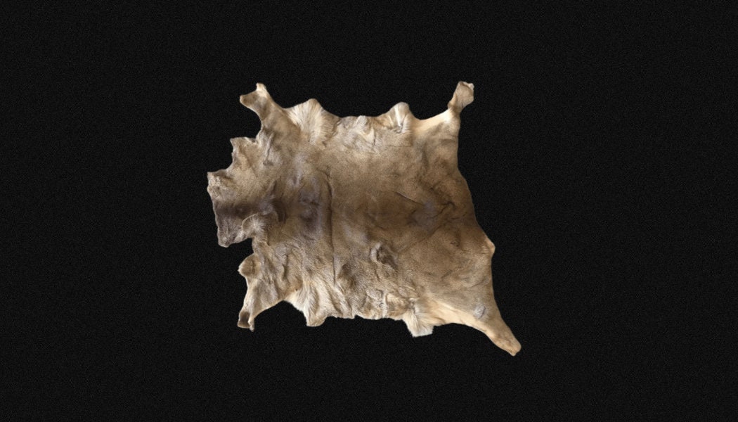 Peau de Chevreuil, Plusieurs Au Choix Peaux Chevreuil Véritable, Fourrure Véritable.