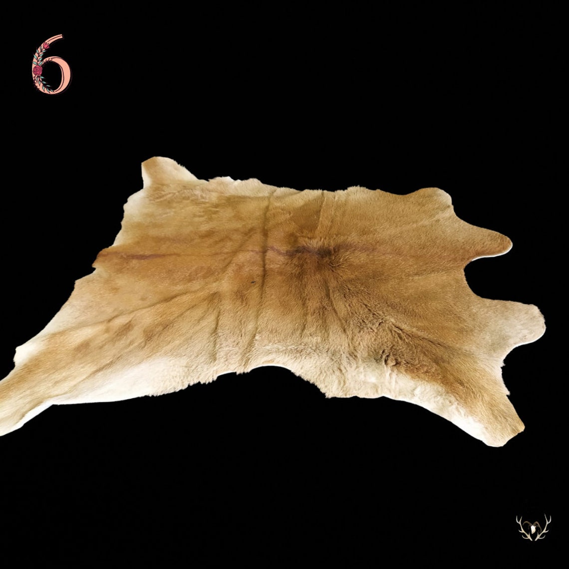 Calf skin to choose from Etsy