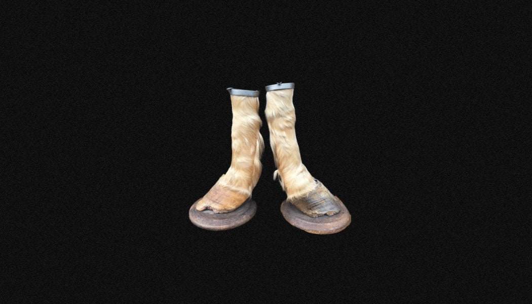 Paire de Pattes Cheval Montées en Cendrier, British Style, Cabinet Curiosité. Taxidermie.