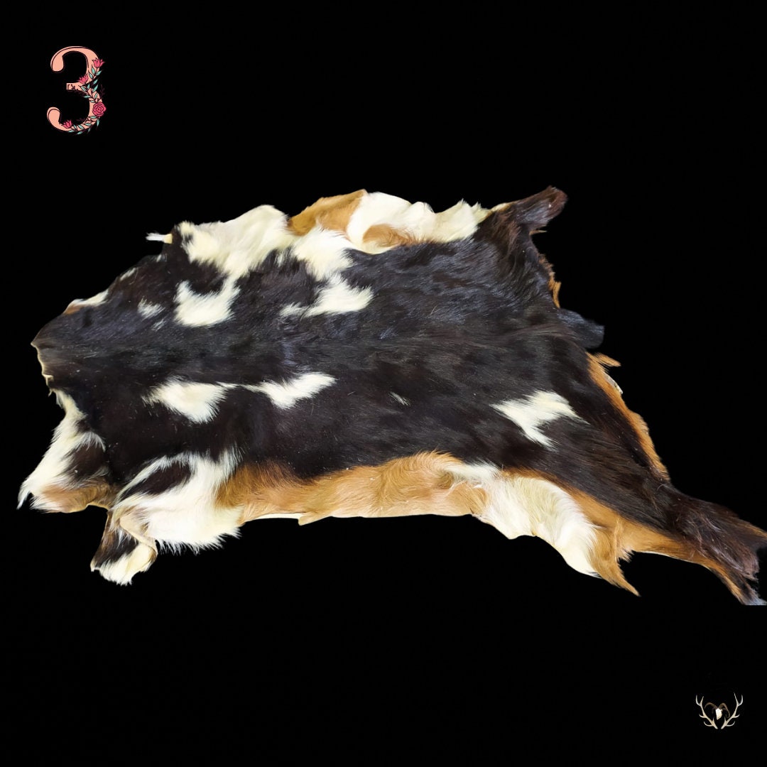Peaux de Chèvre Différentes Robes, Au Choix. Peaux Bêtes, Chalet Montagne. Veaux. Vache, Peaux Mouto