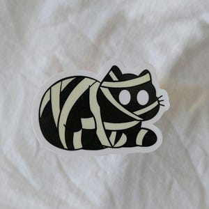 mummy cat