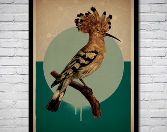Hoopoe Vintage Bird Art Print Poster