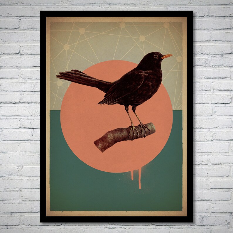 Blackbird Vintage Bird Art Print Poster Etsy