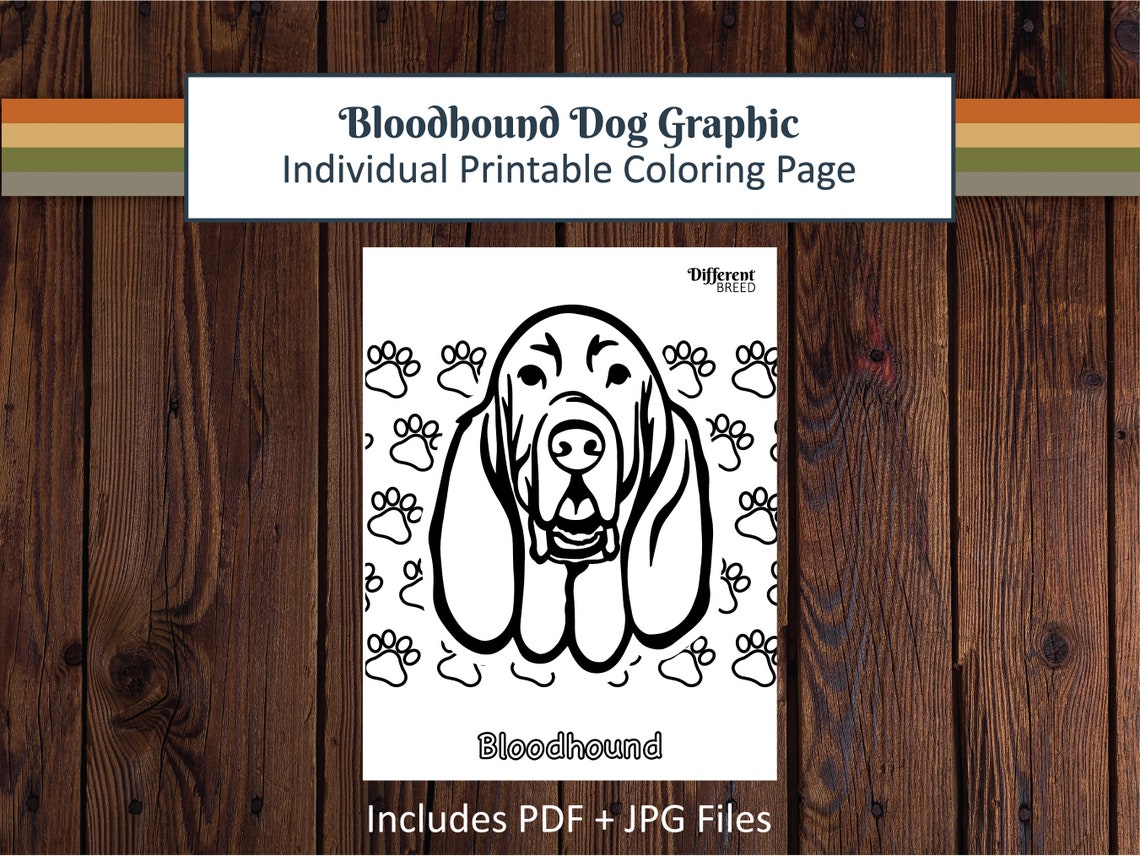 Printable Coloring Page Coloring Page Dog Coloring Page Bloodhound Dog ...