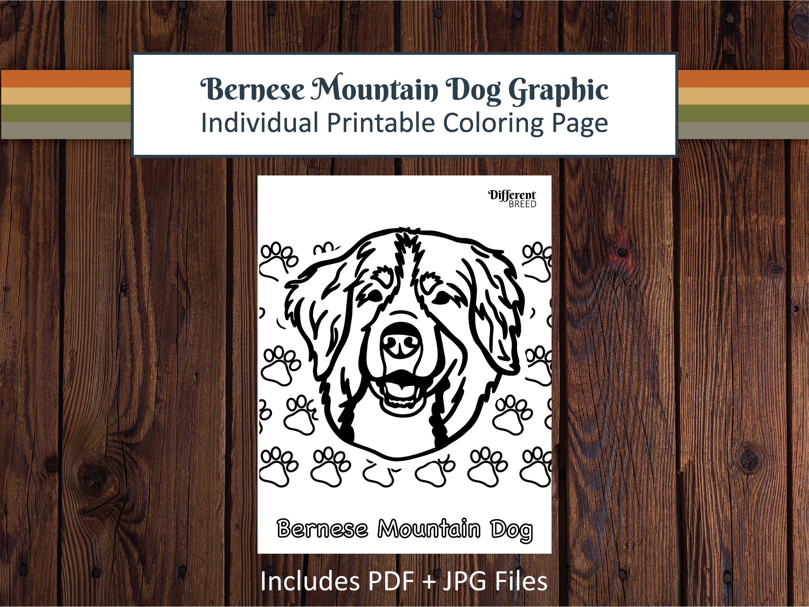 Printable Coloring Page Coloring Page Dog Coloring Page Bernese
