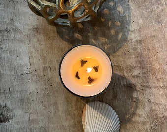 Shark Tooth Candle - Lemon Scent