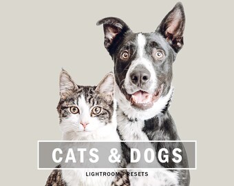 10 Mobile & Desktop Lightroom Presets, Cats and Dogs Presets, Professional One Click Presets for Influencers, Bloggers and Photographers.