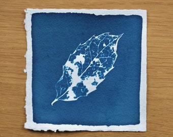 Cyanotype of Leaf