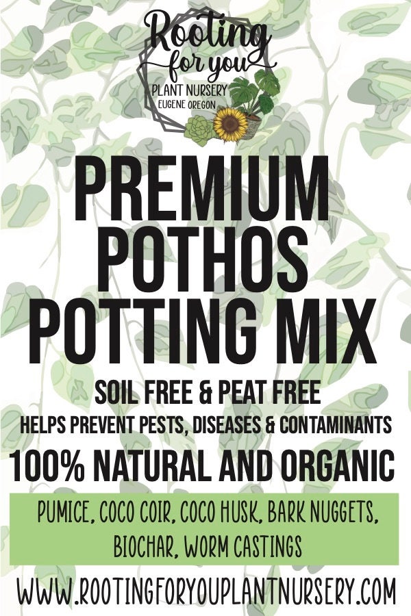 Pothos Premium Potting Mix SOIL LESS Mix 1/2 Gallon and 1 Etsy