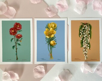 Winter Floral Art Prints - Red Camellia, Winter Buttercup, & Japanese Andromeda