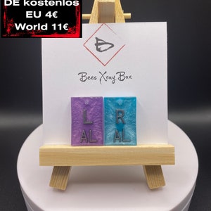 Könnte beinhalten: Zwei Harzohrringe, einer lila und einer blau, jeweils mit den Buchstaben "L AL" und "R AL" in Silber. Die Ohrringe werden auf einer weißen Karte mit dem Logo "Bees Xray Box" auf einer kleinen Holzstaffelei präsentiert.