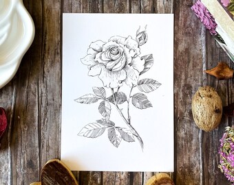 Black and White Rose Greeting Card – Botanical Floral Postcard, Minimalist Rose Illustration, A6 Card