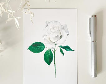 Tarjeta de felicitación de acuarela de rosa blanca – Tarjeta botánica floral, postal floral minimalista