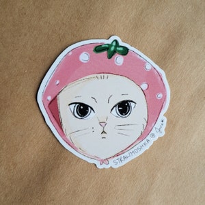 PailleMoshka | Chat fraise | autocollants en vinyle | Chat avec chapeau | Chat fruité | Autocollants de planificateur | Babushka