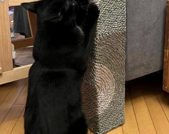 May include: A black cat stands on its hind legs, scratching a tall, rectangular cat scratching post. The post is made of woven rope in shades of tan and gray. The cat is the primary focus, with its back to the viewer.