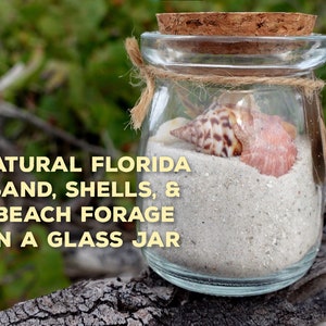 Pode incluir: Um frasco de vidro cheio de areia branca e conchas. O frasco tem uma tampa de cortiça e está amarrado com um barbante. O texto no rótulo diz "NATURAL FLORIDA SAND, SHELLS, & BEACH FORAGE IN A GLASS JAR".