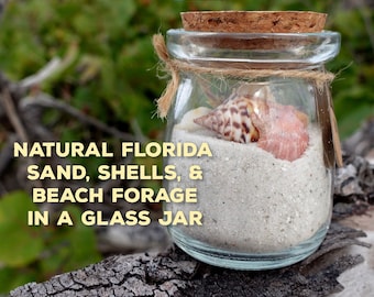 Natural Sand & Shells in a Glass Jar- Sand and Shells from Florida in a Glass Jar- Home Decor/Collectible || Tropical Island in a Jar