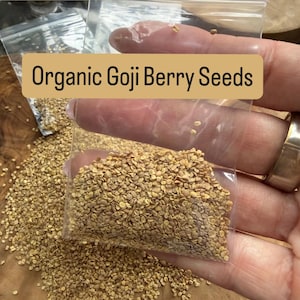 Pode incluir: Saco plástico transparente cheio de sementes orgânicas de bagas de goji. O saco tem uma etiqueta retangular bege com as palavras "Organic Goji Berry Seeds". As sementes são pequenas, redondas e castanho claro.