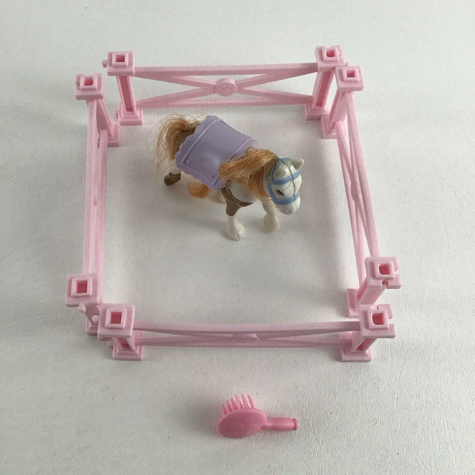 Mini poney Shetland Étalon Pinto in Gütersloh