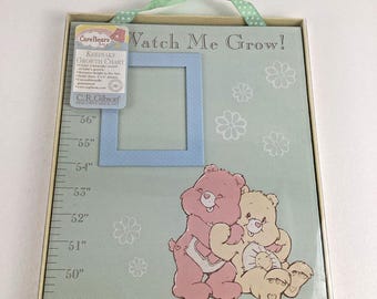 Care Bears Baby Keepsake Growth Chart Photo Holder Funshine Wall Hang Vintage