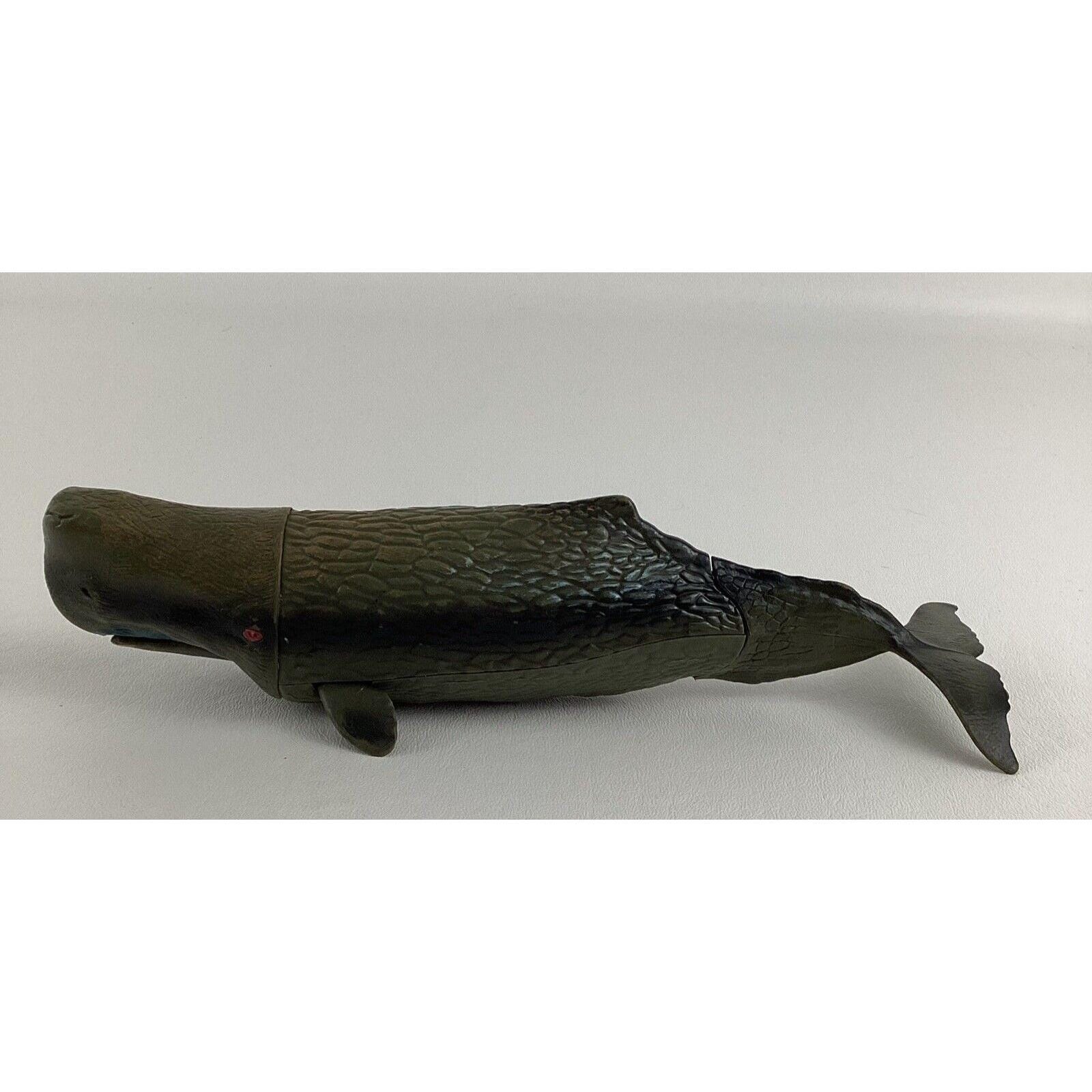 海洋生物 マッコウクジラ Physetermacrocephalus 海洋動物 10