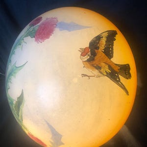 Stunning Art Deco Hand Painted Plafonnier Flycatcher Lightshade Birds & Floral