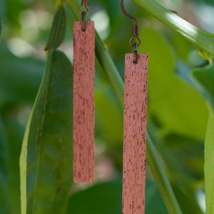 May include: A pair of wooden earrings with a brown wood grain pattern and bronze hooks. The earrings are hanging from a green plant stem.