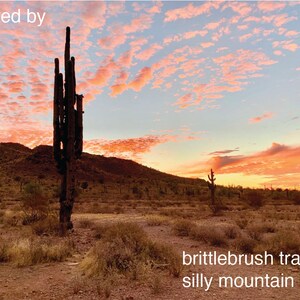 K&ouml;nnte beinhalten: Ein hoher, schlanker Kaktus steht im Vordergrund einer W&uuml;stenlandschaft. Der Himmel ist leuchtend rosa und orangefarben, mit flauschigen Wolken. Der Text "inspired by" befindet sich in der oberen linken Ecke des Bildes. Der Text "brittlebrush trail silly mountain park" befindet sich in der unteren rechten Ecke des Bildes.