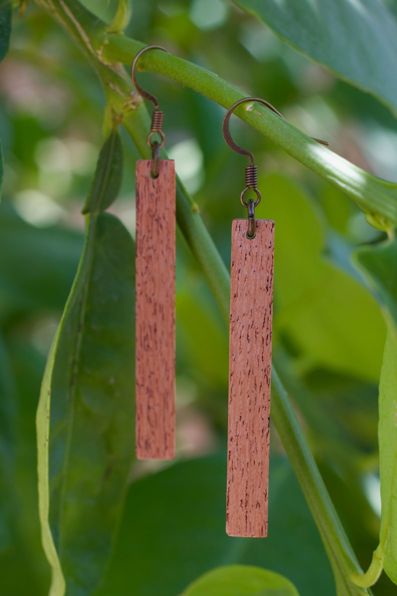 K&ouml;nnte beinhalten: Ein Paar Holzohrringe mit braunem Holzmaserungsmuster und bronzefarbenen Haken. Die Ohrringe h&auml;ngen an einem gr&uuml;nen Pflanzenst&auml;ngel.