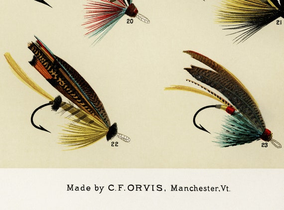 Trout Flies Vintage Fishing Digital Poster favorite Flies and Their  Histories by Mary Orvis Marbury Gift for Dad Man Fisherman Cabin Print 