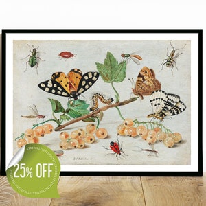 Vintage Illustration Set Poster Still Life Print of Fruits and Insects Ensemble Natural History Encyclopedia Fans Gift Kitchen Wall Decor