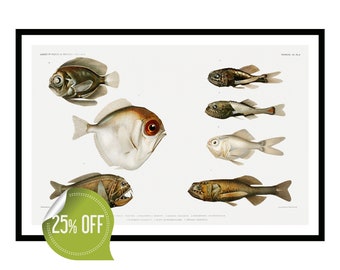 Impression vintage de poissons d'eau profonde, illustration de la vie marine