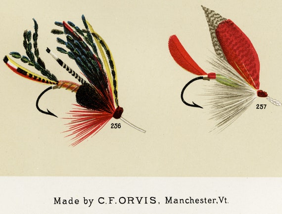 Trout Flies Vintage Fishing Digital Poster favorite Flies and