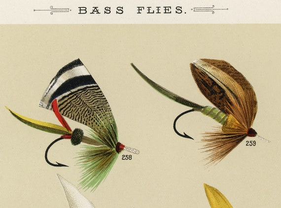 Trout Flies Vintage Fishing Digital Poster From favorite Flies and