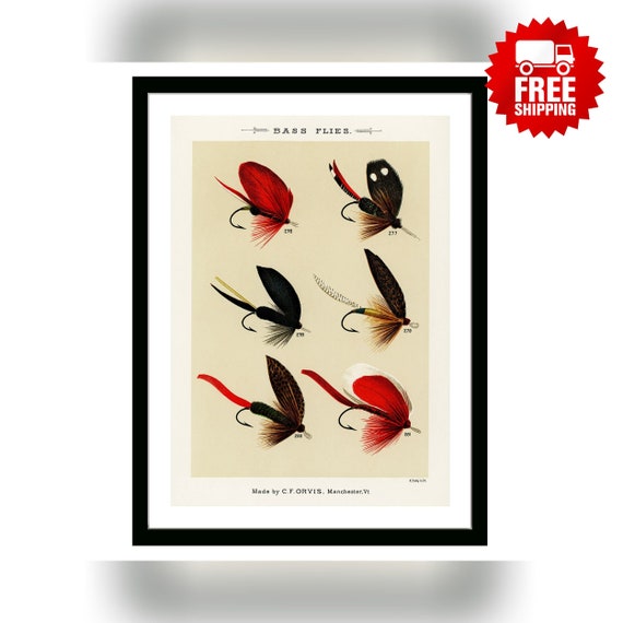 Trout Flies Vintage Fishing Digital Poster From favorite Flies and Their  Histories by Mary Orvis Marbury. Gift for Dad Man Fisherman Cabin 