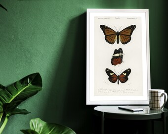 Vintage Butterfly Varieties Set Illustration Poster Gift for Nature Encyclopedia Fans Wall Art Home & Office Decor Retro Design Solution