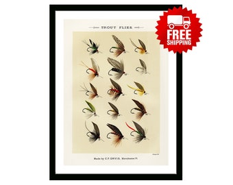 Trout Flies Vintage Fishing Poster from "Favorite Flies and Their Histories" by  Mary Orvis Marbury. Gift for Dad Man Fisherman Cabin Print