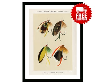 Trout Flies Vintage Fishing Poster from "Favorite Flies and Their Histories" by  Mary Orvis Marbury. Gift for Dad Man Fisherman Cabin Print