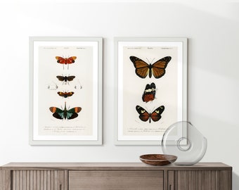 Vintage Butterfly Varieties Set Illustration Poster Gift for Nature Encyclopedia Fans Wall Art Home & Office Decor Retro Design Solution