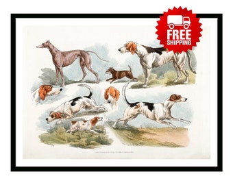 Vintage Poster Illustration of hunting dogs from Sporting Sketches Retro British Empire 1800's Hunting Fishing Travel Print