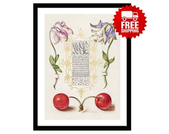 Calligraphy Poster Print of Sweet Cherry and European Columbines Botanical Print Kitchen Decoration Gift Nature Museum Illustration