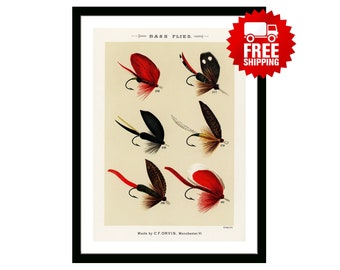 Trout Flies Vintage Fishing Poster from "Favorite Flies and Their Histories" by  Mary Orvis Marbury. Gift for Dad Man Fisherman Cabin Print