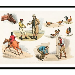 Ilustracja plakatu w stylu vintage przedstawiająca walki kogutów z kolekcji Sporting Sketches, retro, Imperium Brytyjskie, lata 1800., polowanie, wędkarstwo, podróż, wydruk