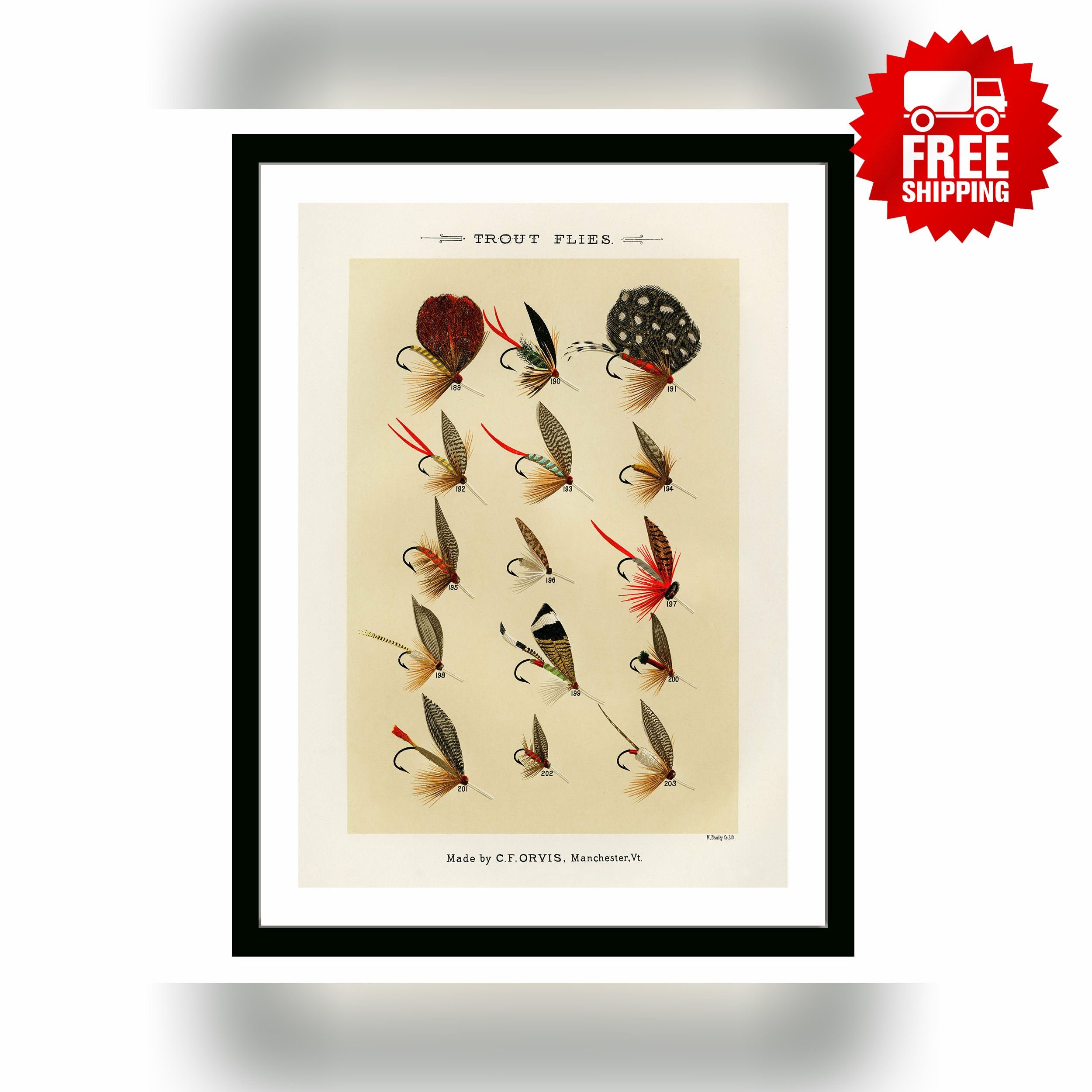 Trout Flies Vintage Fishing Digital Poster favorite Flies and