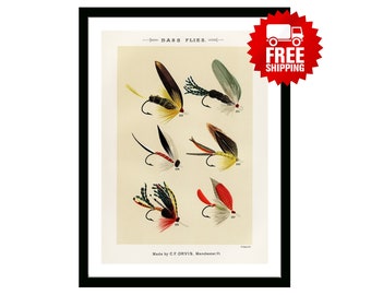 Trout Flies Vintage Fishing Poster from "Favorite Flies and Their Histories" by  Mary Orvis Marbury. Gift for Dad Man Fisherman Cabin Print